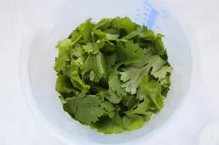 Pesto coriandre-cajou : etape 25