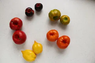 Tarte fine multi-tomates : etape 25