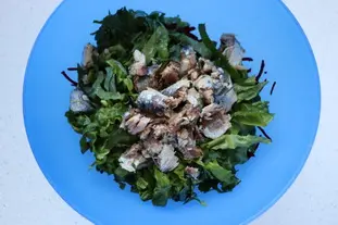 Salade verte et rouge, sardines et œufs mimosa : etape 25