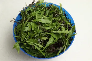 Salade Ardennaise