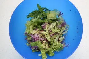 Salade poulet-avocat : etape 25