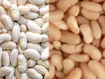 Comment préparer des haricots blancs